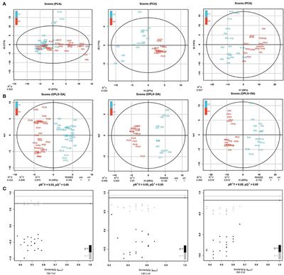 Shifts in Fecal Metabolite Profiles Associated With <mark class="highlighted">Ramadan</mark> Fasting Among Chinese and Pakistani Individuals
